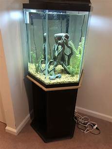 Aquarium Water Heater