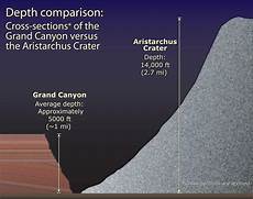 Comparison