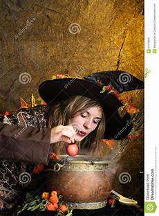 Cooking Boiler