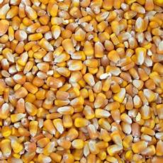 Corn Boilers