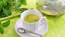 Electric Tea Boilers