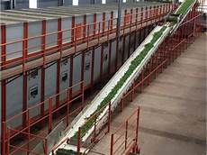 Industrial Tea Boilers