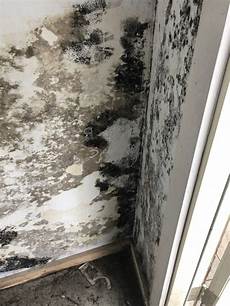Mold Heater