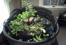 Pond Water Heater