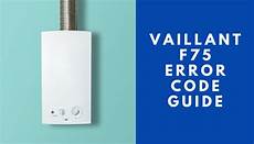 Vaillant Boiler F22