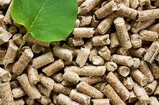 Wood Pellet Boiler